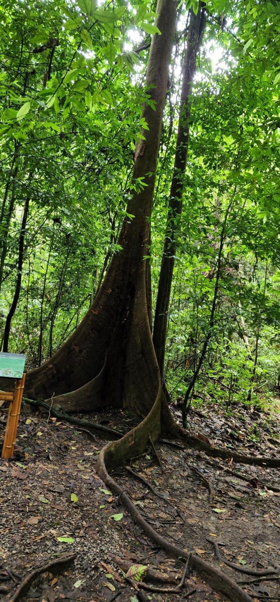 Khaosok Happy House Bed and Breakfast Khao Sok National Park Εξωτερικό φωτογραφία