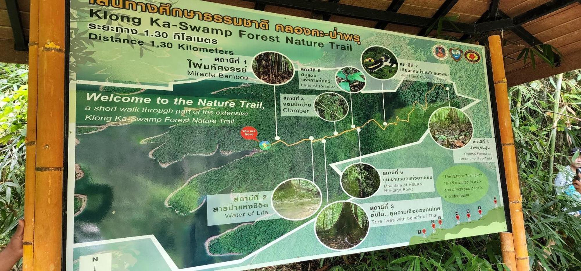 Khaosok Happy House Bed and Breakfast Khao Sok National Park Εξωτερικό φωτογραφία