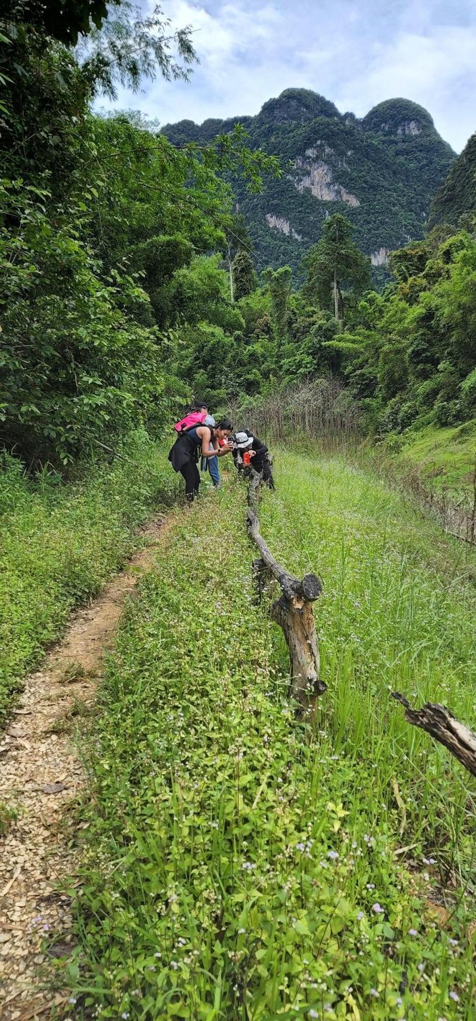 Khaosok Happy House Bed and Breakfast Khao Sok National Park Εξωτερικό φωτογραφία